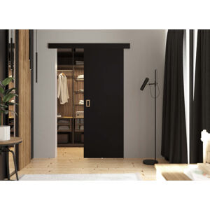 KIER Posuvné dveře WERDI | 100 cm Barva: Černá