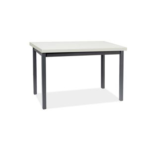 Signal Jídelní stůl ADAM | 120 x 68 cm Barva: bílý mat / černá
