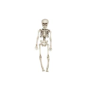 Skeleton - Kostra k zavěšení 40 cm - Halloween - GUIRCA