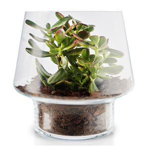 EVA SOLO Skleněná váza na sukulenty 21 cm rozbalený produkt - rozbalený produkt