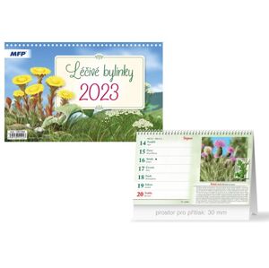 kalendář 2023 stolní Léčivé bylinky 1061369 - MFP Paper s.r.o.