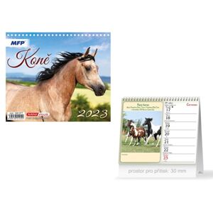 kalendář 2023 stolní mini Koně 1061377 - MFP Paper s.r.o.