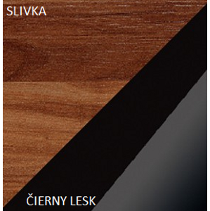 WIP Skříň MAX 05 Barva: Švestka / černý lesk