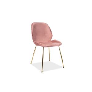Signal Židle ADRIEN Velvet | zlaté nohy Barva: Bluvel 52 / ružová