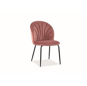 Židle: SIGNAL LOLA VELVET SIGNAL - stoličky: kov čierny/ sivá Bluvel 72