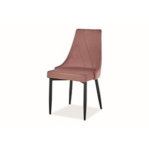 Židle: SIGNAL TRIX B VELVET SIGNAL - stoličky: kov čierny/ staroružová Bluvel 52